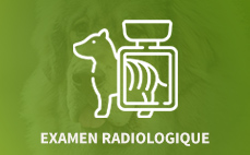 EXAMEN RADIOLOGIQUE